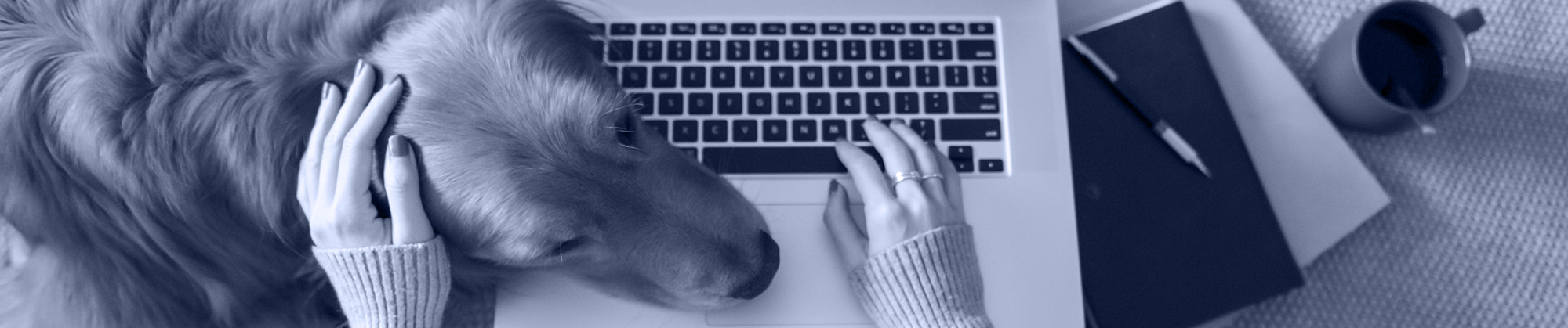 Forum-Insider-image_banner-blue-thinner
