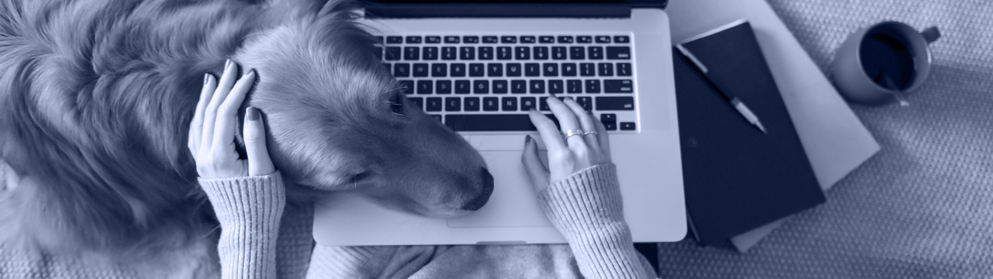 Forum-Insider-image_banner-blue