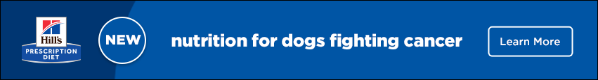 Hill's Prescription Diet: nutrition for dogs fighting cancer