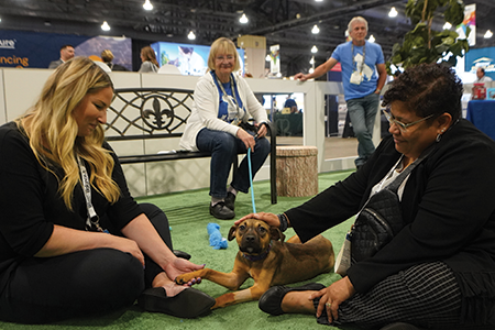 Two women sitting in Bark Park petting a dog on a leash.