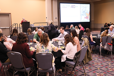 Attendees eating lunch at tables while speaker shows slides.