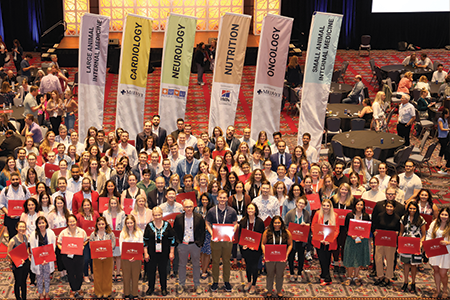 Crowd of new Diplomates standing in front of 6 specialty flag banners.