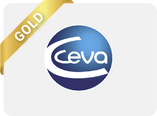03_Ceva