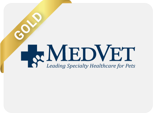 06_MedVet