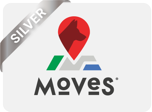 13_Moves