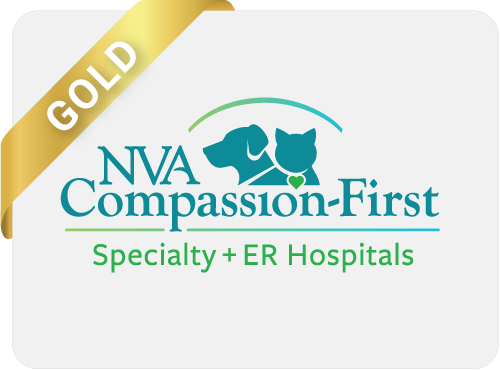 05_NVA Compassion-First