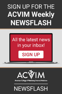 Newsflash-DigitalAd_200x300V2