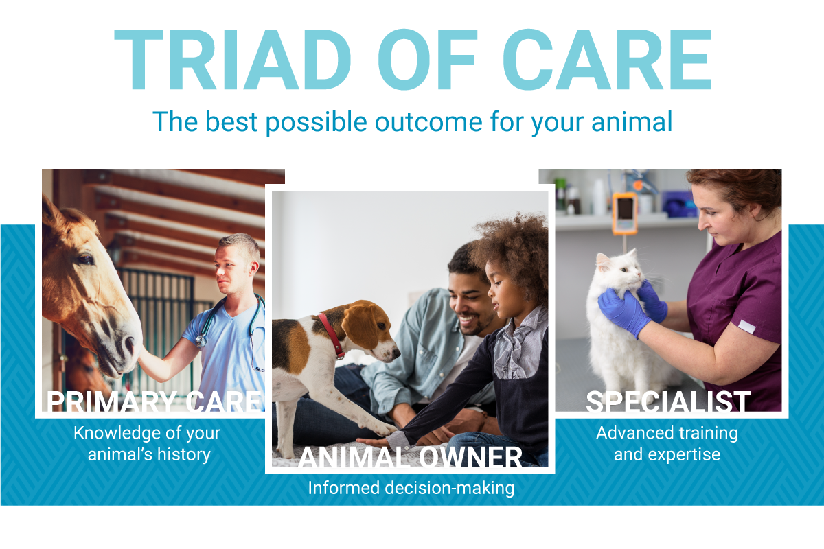 Animal Owners Animal Owners