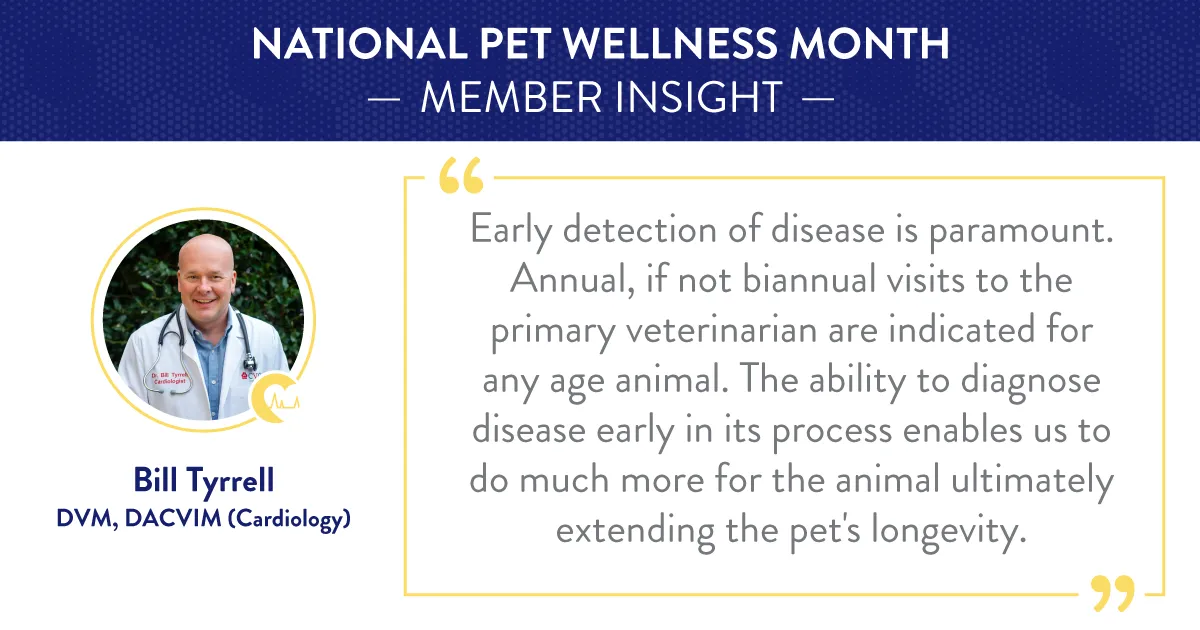 Bill Tyrrell, DVM, DACVIM (Cardiology)