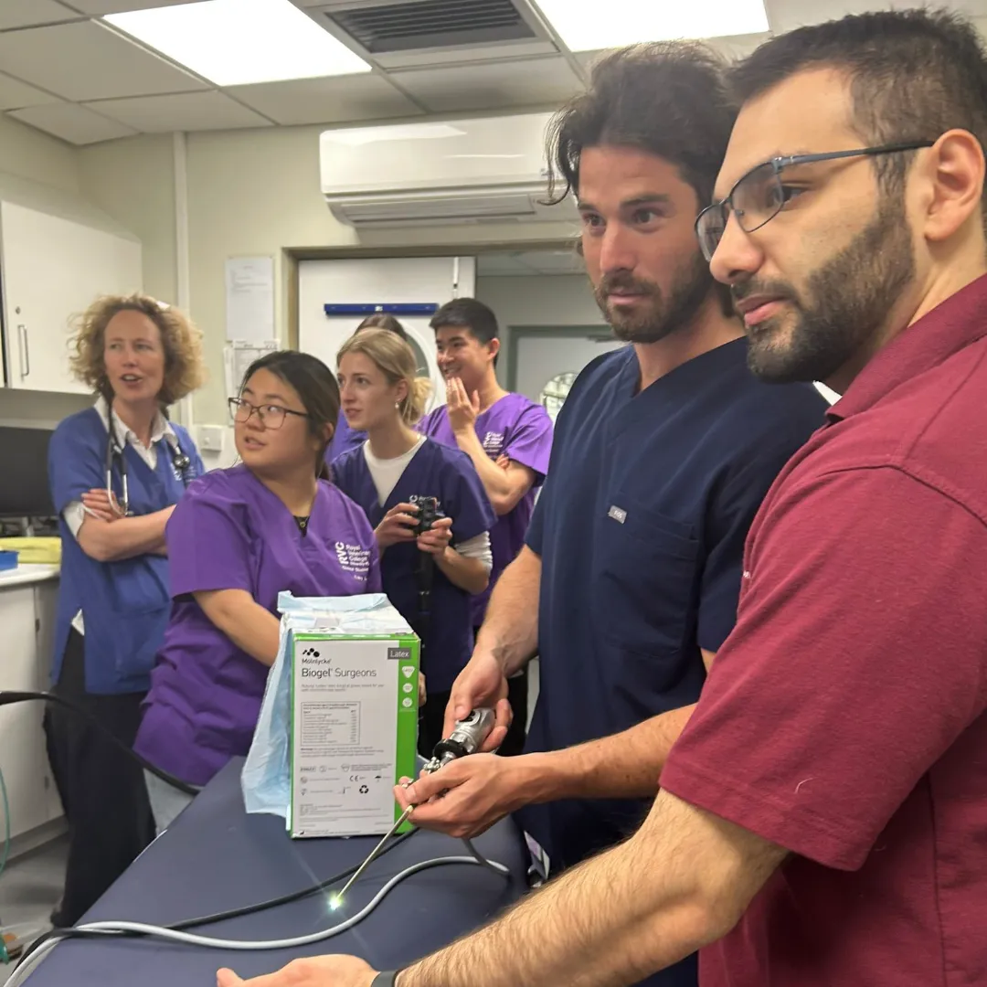 RVC students focus during endoscopy rounds 