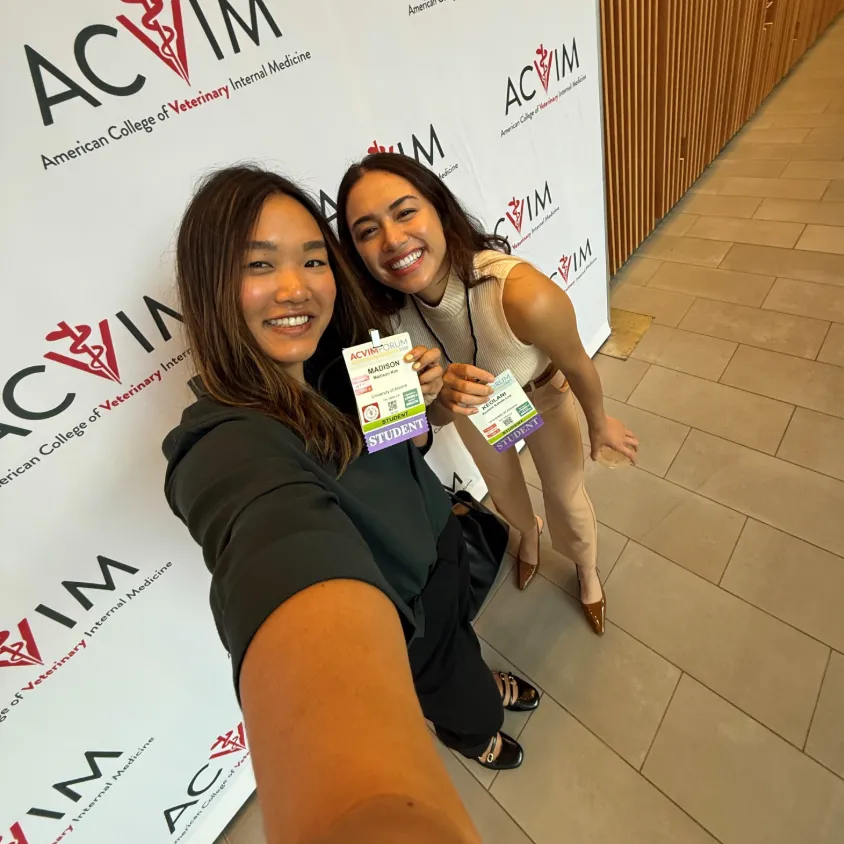 UAZ student chapter officers smile with their attendee badges at the 2025 ACVIM Forum in Louiseville, KY