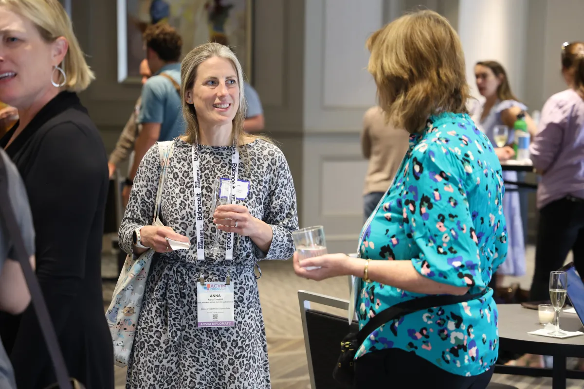 2024 Volunteer Happy Hour