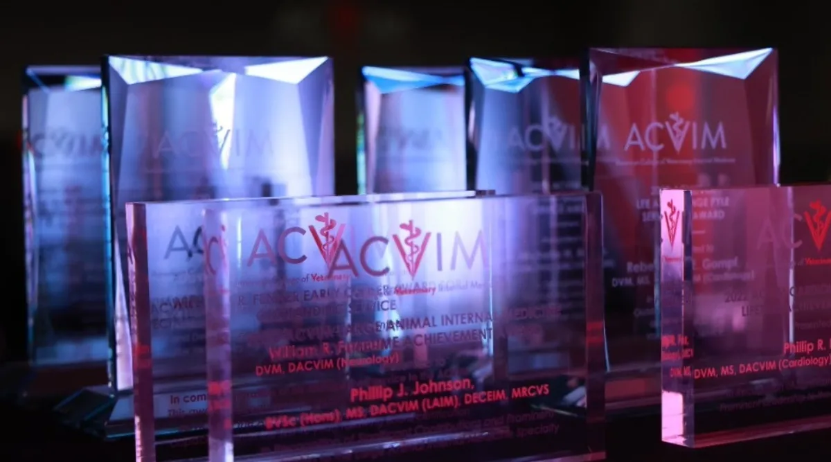 ACVIM Award Plaques 