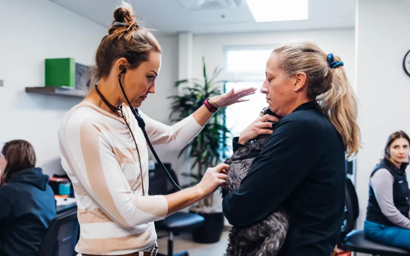 A veterinary specialist listens to a senior dog's heart with a stethoscope while its owner holds it
