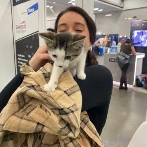 Woman and gray and white cat