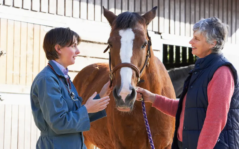 A veterinary specialist stands before a horse and its owner and discusses the results of their examination