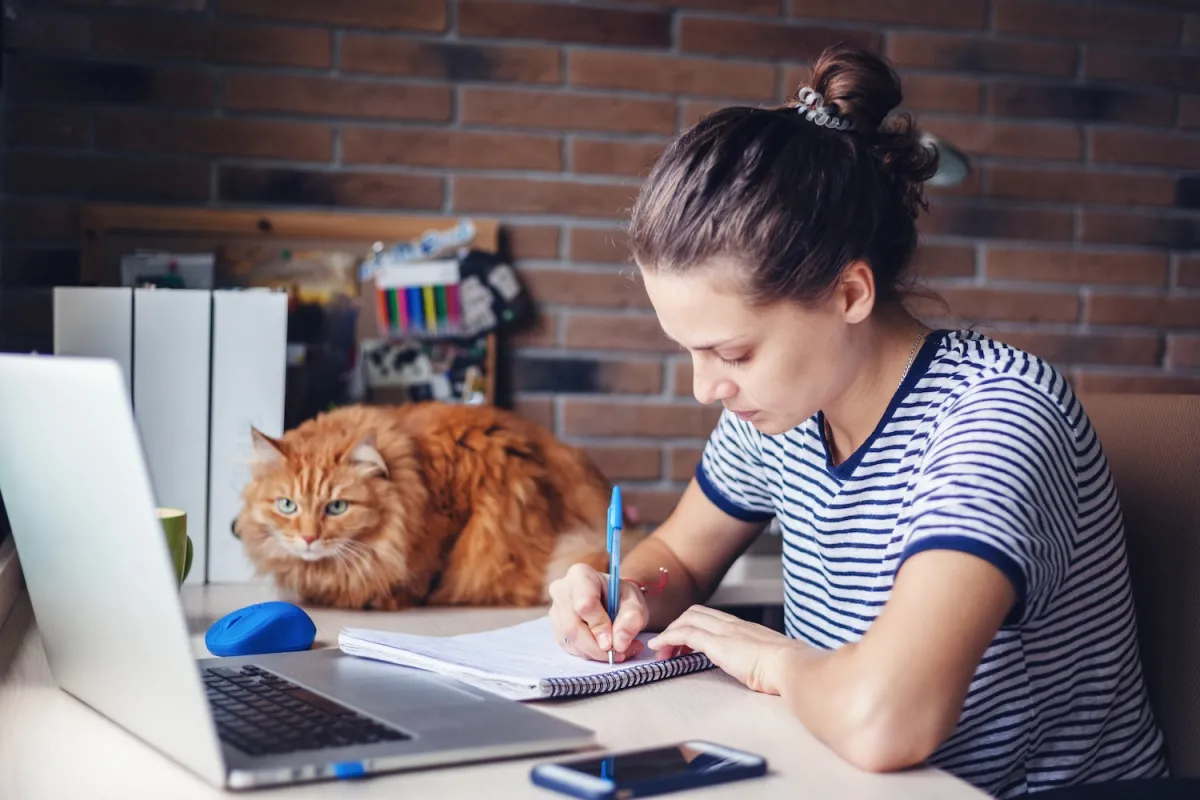Woman taking notes in front of a computer with a cat next to her