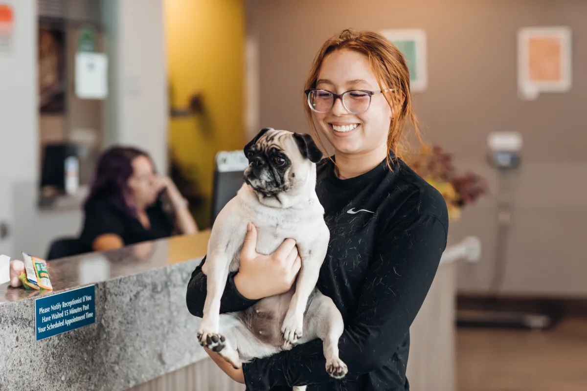 Lady holding pug in vet clinic