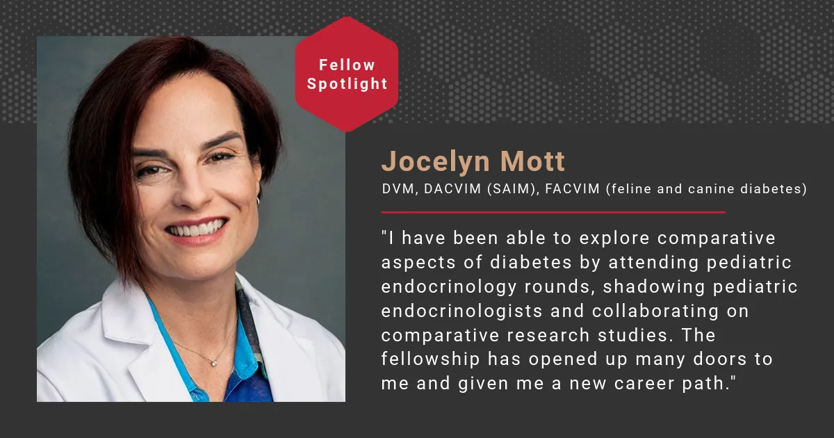 Jocelyn Mott, DVM, DACVIM (SAIM), FACVIM (feline and canine diabetes)