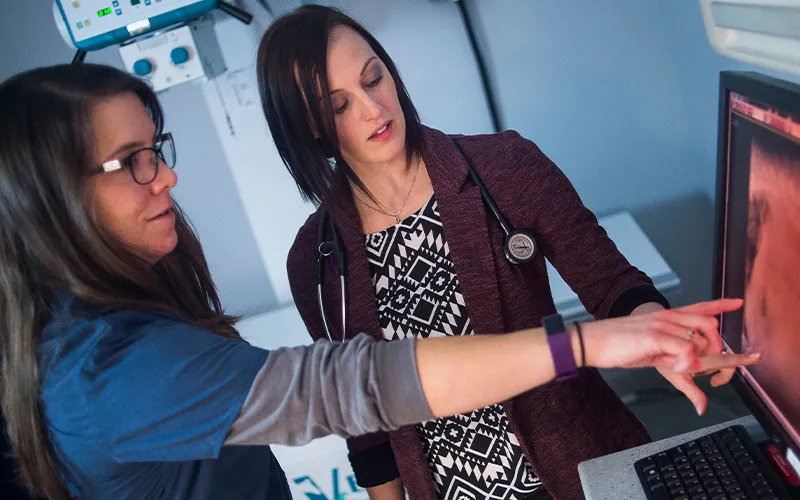 Two veterinary professionals review a patient scan on a computer screen