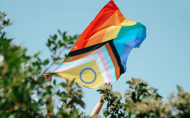 Pride flag against a blue sky and trees