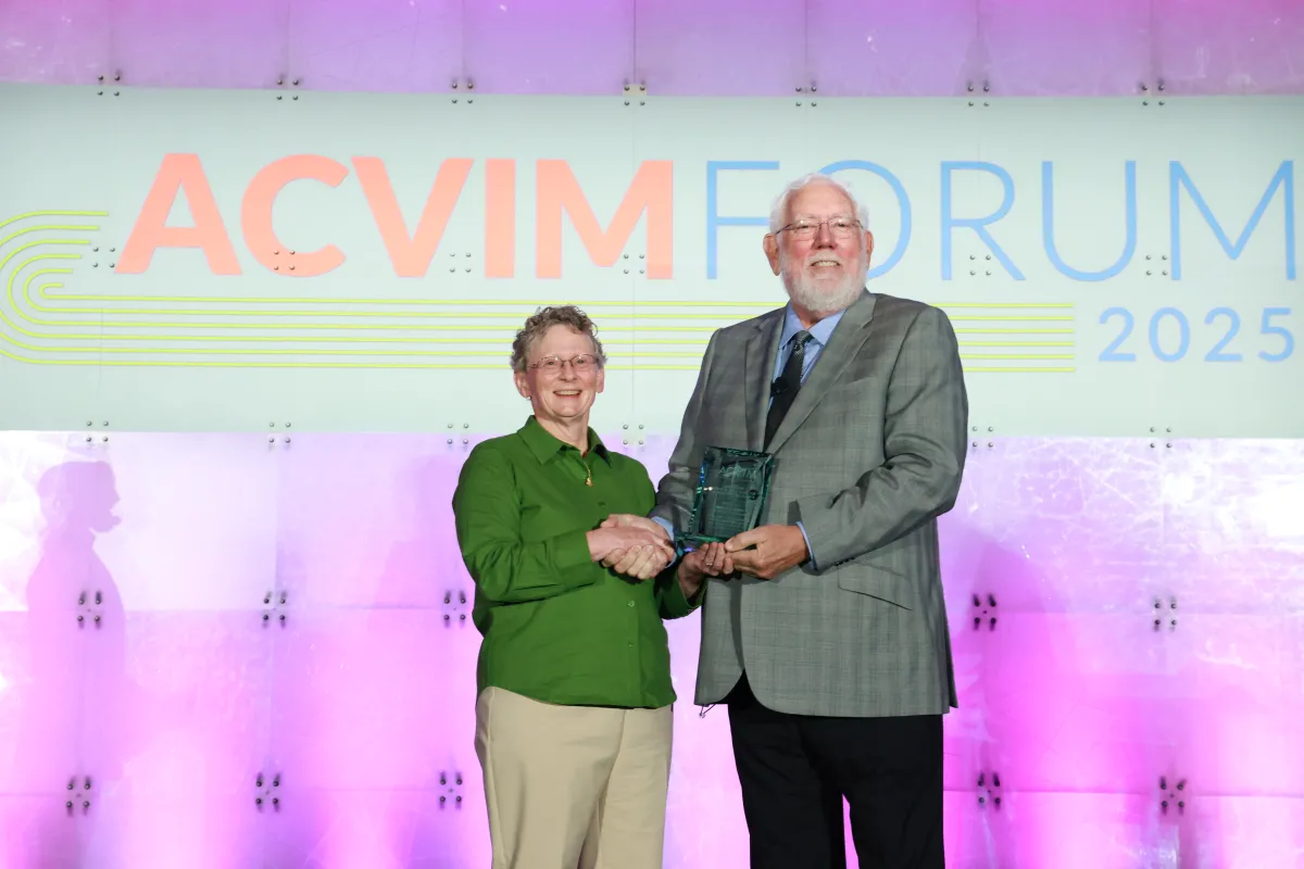 Robert W. Kirk Award for Professional Excellence