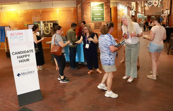 Candidates at a sponsored happy hour