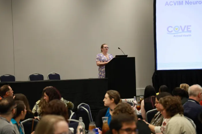 Speaker at podium talking to attendees during lunch