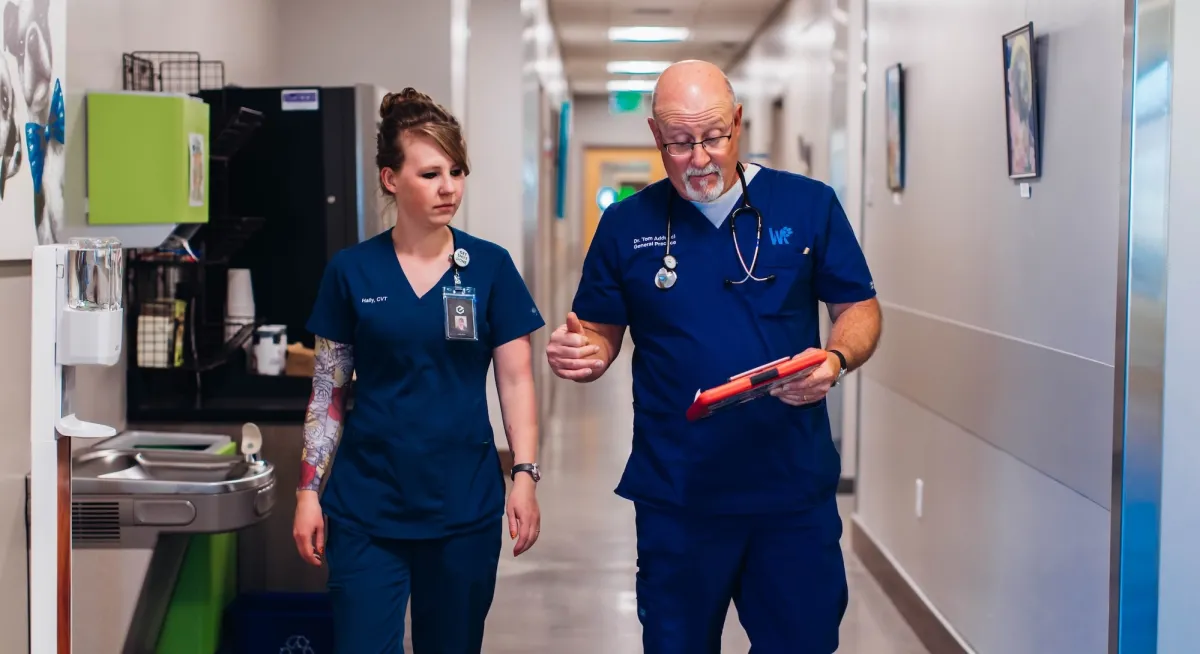 Primary care vet and technician walking