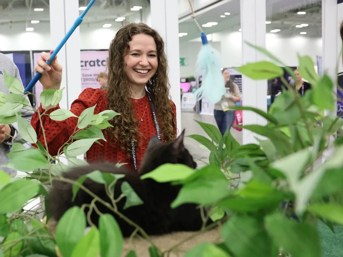 Attendee playing with kitten in cat lounge