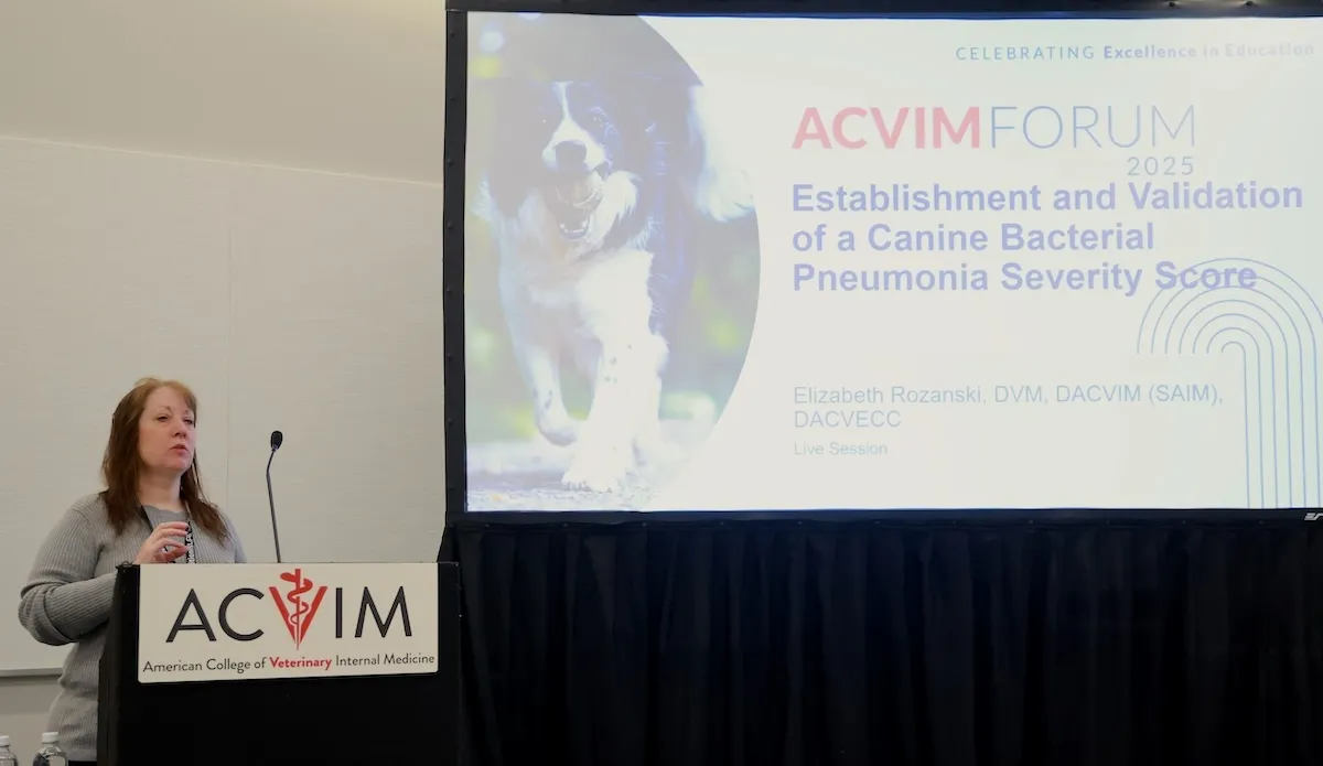 Speaker talking at podium