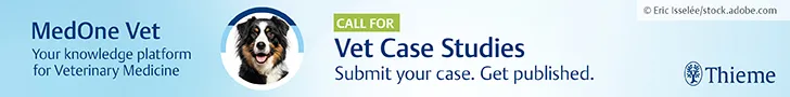 Thieme Group Banner Advertisement