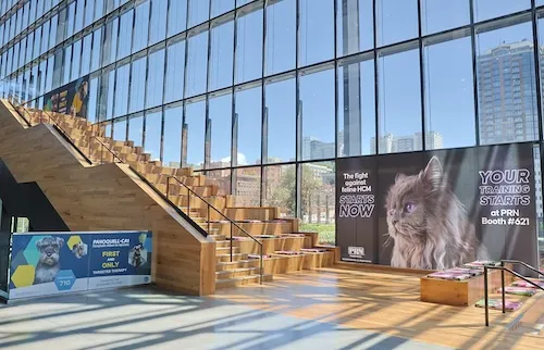 Multiple sponsor clings on windows and railing in a convention center