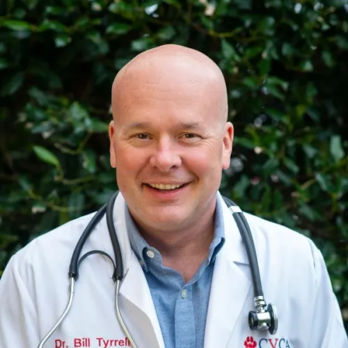 Bill Tyrrell Treasurer 