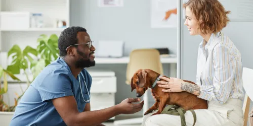 Veterinarian talking to pet owner with dog on lap