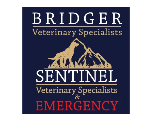 Bridger Veterinary Specialists logo