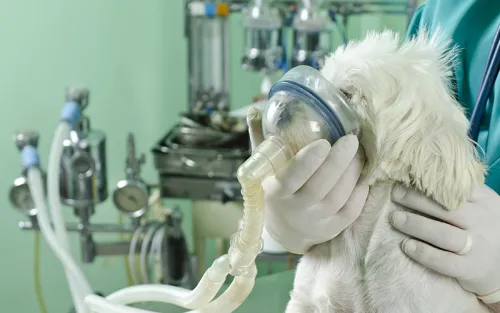 Respiratoryemergencies