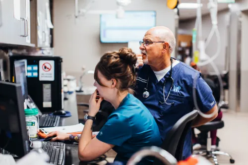 Two veterinarians looking at a computer monitor