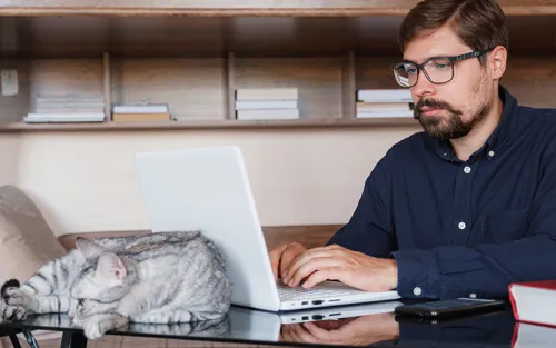 Man working on a laptop with a cat by the laptop