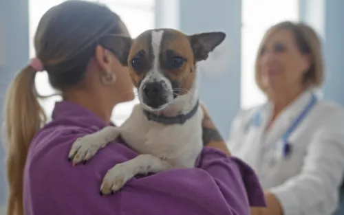 elevateyourcommunication