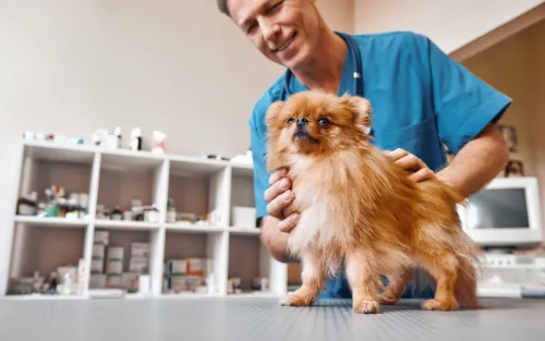 Demystifying the Compounding Conundrum: What We Should Know