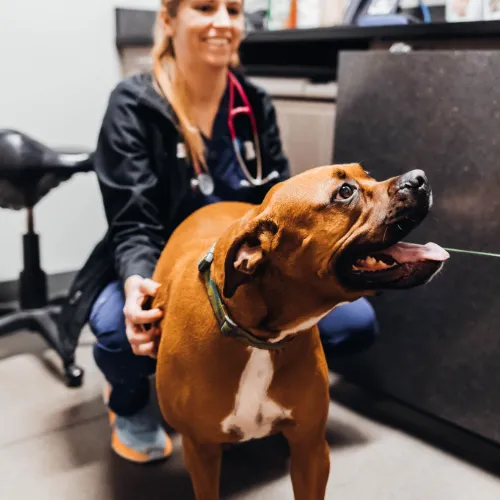 Neurosurgery Course photo