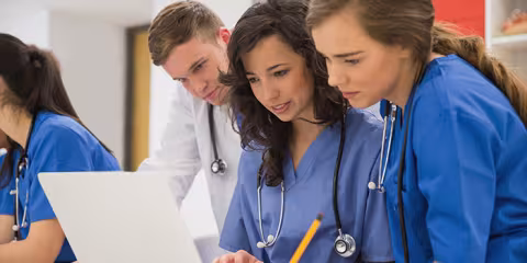 Veterinarians reviewing a chart