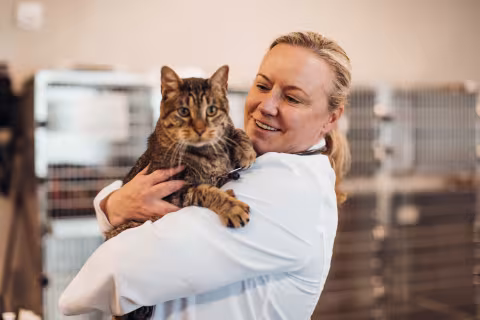 Veterinarian with Cat