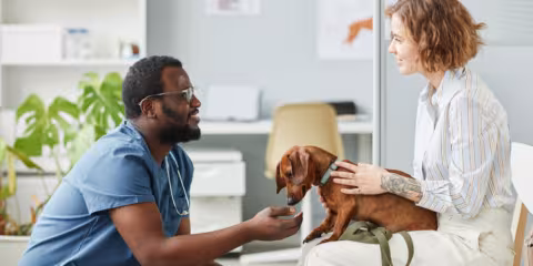 Veterinarian talking to pet owner with dog on lap