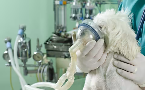 Respiratoryemergencies