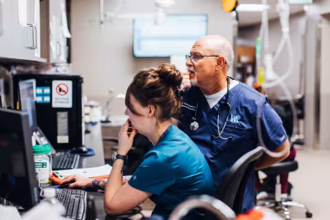 Two veterinarians looking at a computer monitor