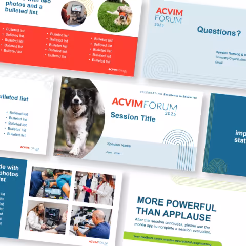 Mockup of presentation templates