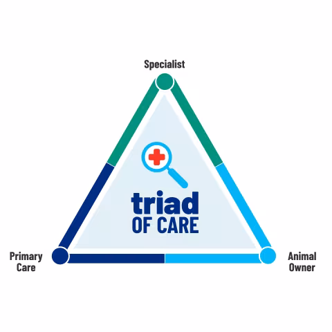 Triad of Care: Specialist, Animal Owner, Primary Care