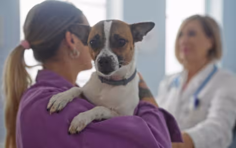 elevateyourcommunication